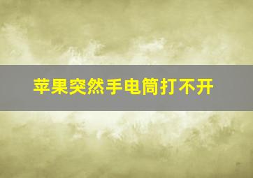 苹果突然手电筒打不开