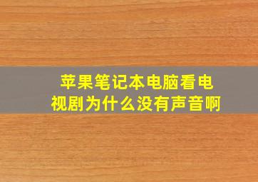 苹果笔记本电脑看电视剧为什么没有声音啊