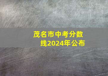 茂名市中考分数线2024年公布