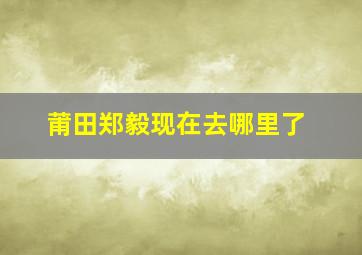 莆田郑毅现在去哪里了