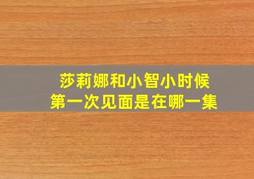 莎莉娜和小智小时候第一次见面是在哪一集