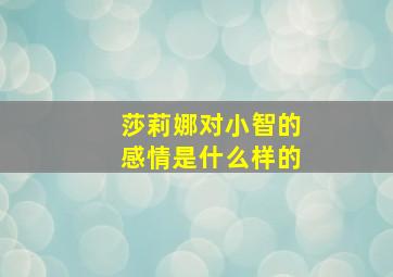 莎莉娜对小智的感情是什么样的