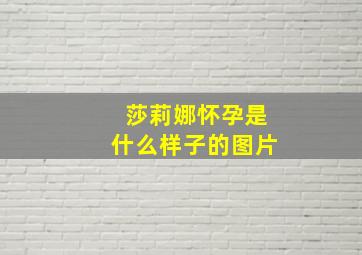 莎莉娜怀孕是什么样子的图片