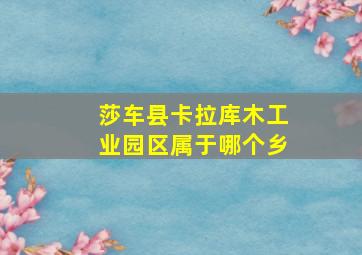 莎车县卡拉库木工业园区属于哪个乡