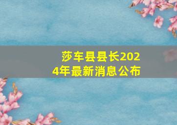 莎车县县长2024年最新消息公布