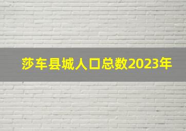 莎车县城人口总数2023年