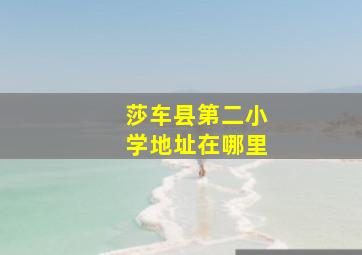 莎车县第二小学地址在哪里