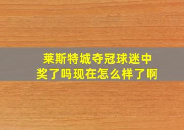 莱斯特城夺冠球迷中奖了吗现在怎么样了啊