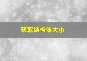 获取结构体大小