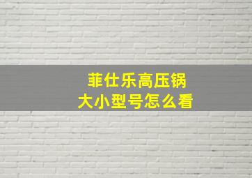 菲仕乐高压锅大小型号怎么看