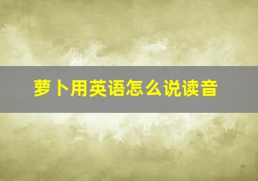 萝卜用英语怎么说读音