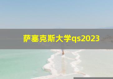 萨塞克斯大学qs2023