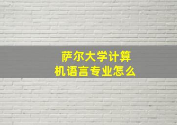 萨尔大学计算机语言专业怎么