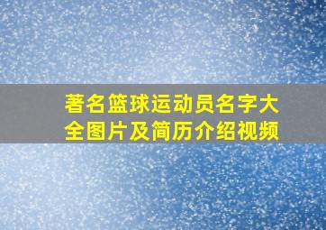 著名篮球运动员名字大全图片及简历介绍视频