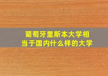 葡萄牙里斯本大学相当于国内什么样的大学