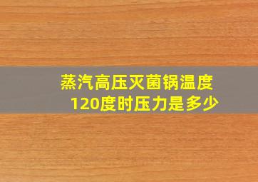 蒸汽高压灭菌锅温度120度时压力是多少