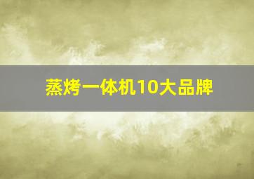 蒸烤一体机10大品牌