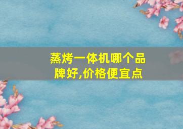 蒸烤一体机哪个品牌好,价格便宜点