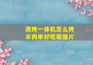 蒸烤一体机怎么烤羊肉串好吃呢图片