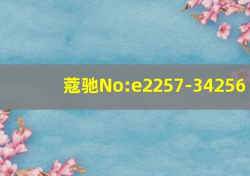 蔻驰No:e2257-34256