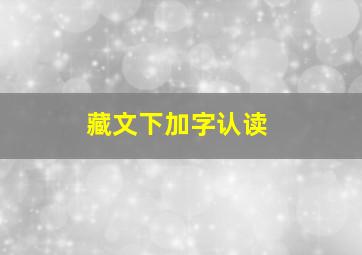 藏文下加字认读