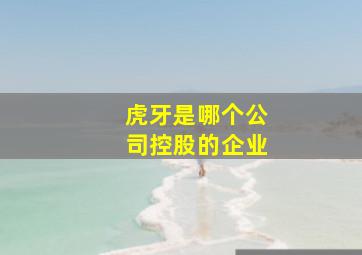 虎牙是哪个公司控股的企业