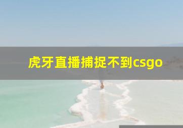 虎牙直播捕捉不到csgo