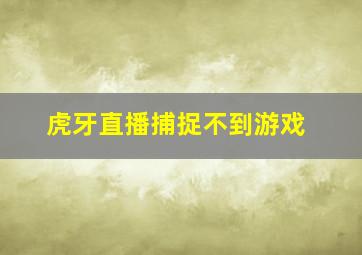 虎牙直播捕捉不到游戏