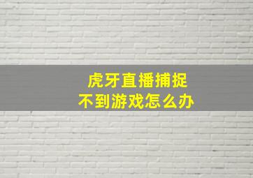 虎牙直播捕捉不到游戏怎么办