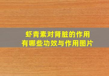 虾青素对肾脏的作用有哪些功效与作用图片