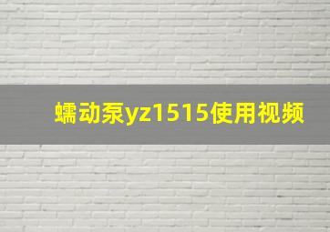 蠕动泵yz1515使用视频