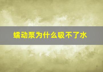 蠕动泵为什么吸不了水