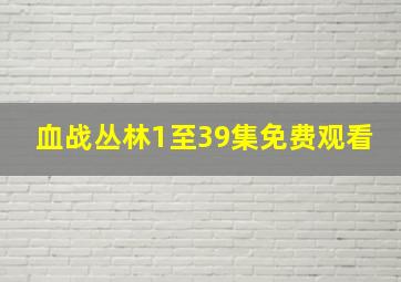 血战丛林1至39集免费观看