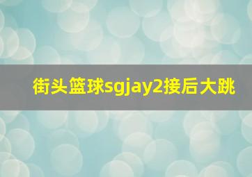 街头篮球sgjay2接后大跳