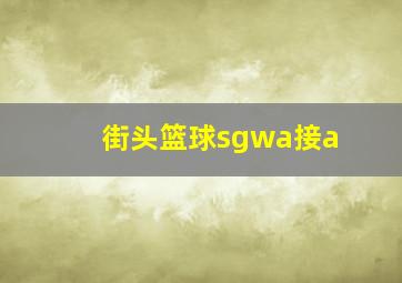 街头篮球sgwa接a