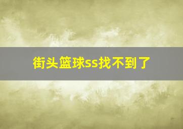 街头篮球ss找不到了