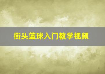 街头篮球入门教学视频