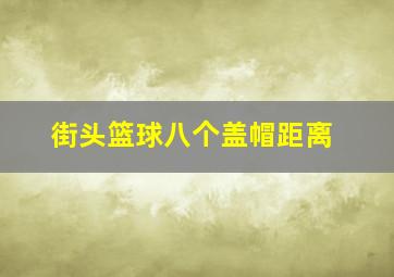 街头篮球八个盖帽距离