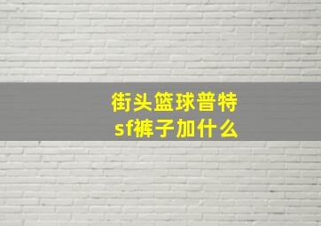 街头篮球普特sf裤子加什么