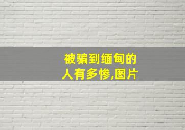 被骗到缅甸的人有多惨,图片