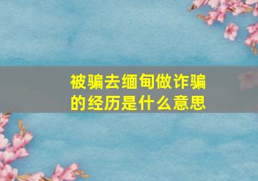 被骗去缅甸做诈骗的经历是什么意思