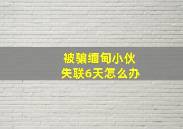 被骗缅甸小伙失联6天怎么办