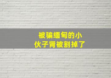 被骗缅甸的小伙子肾被割掉了