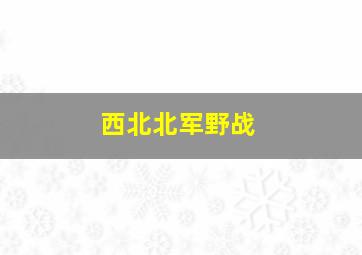 西北北军野战