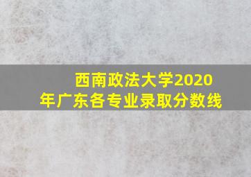 西南政法大学2020年广东各专业录取分数线