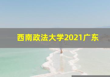 西南政法大学2021广东