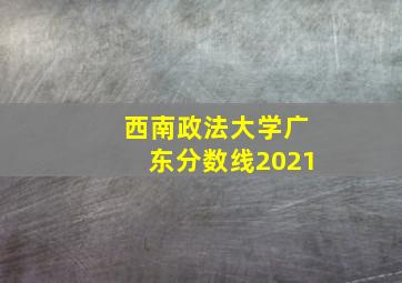 西南政法大学广东分数线2021