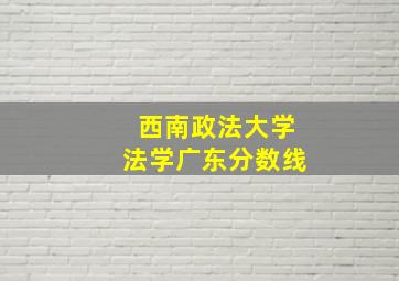 西南政法大学法学广东分数线