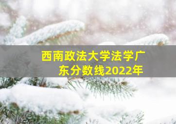 西南政法大学法学广东分数线2022年