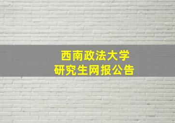 西南政法大学研究生网报公告